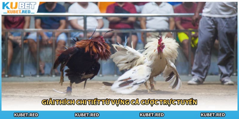 Giải thích chi tiết từ vựng cá cược trực tuyến